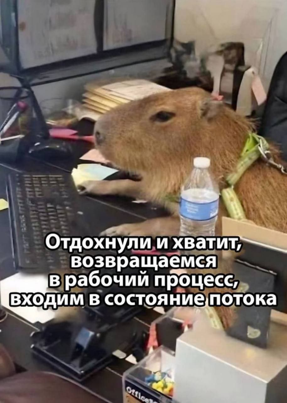 Проактивность | Сетка — социальная сеть от hh.ru