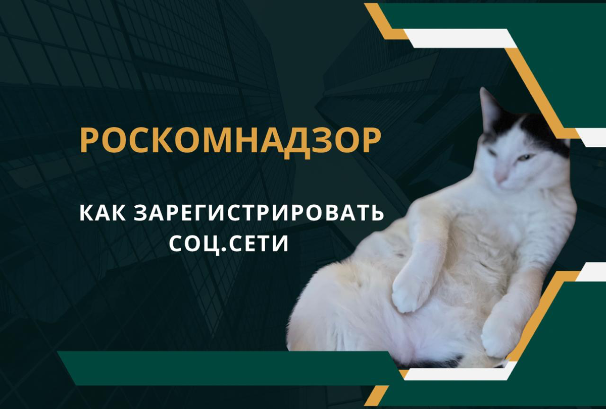 Роскомнадзор, регистрация соц. сети 📌 | Сетка — социальная сеть от hh.ru