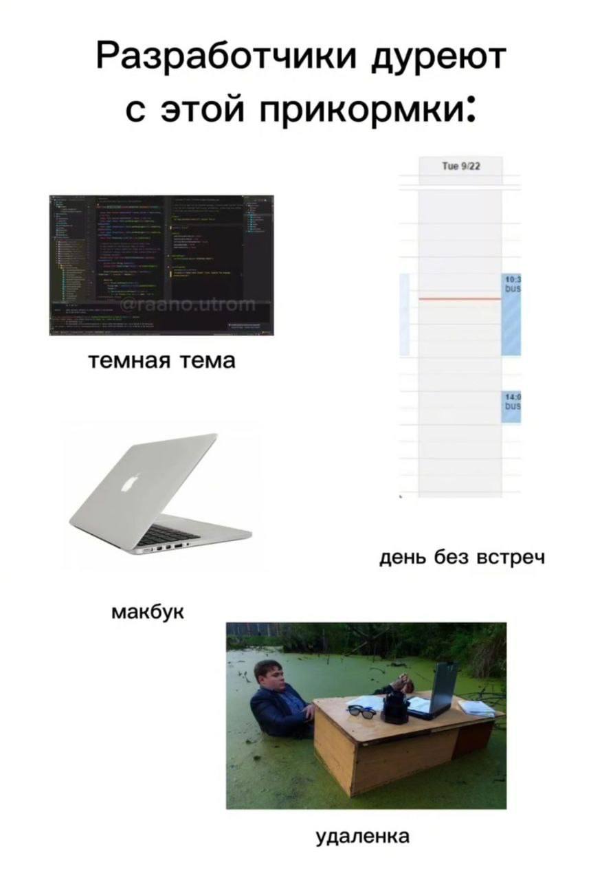 #IT
😂 Твой Пакет Мемов
🛍 Другие каналы
В этом посте были ссылки, но мы их удалили по правилам Сетки | Сетка — социальная сеть от hh.ru