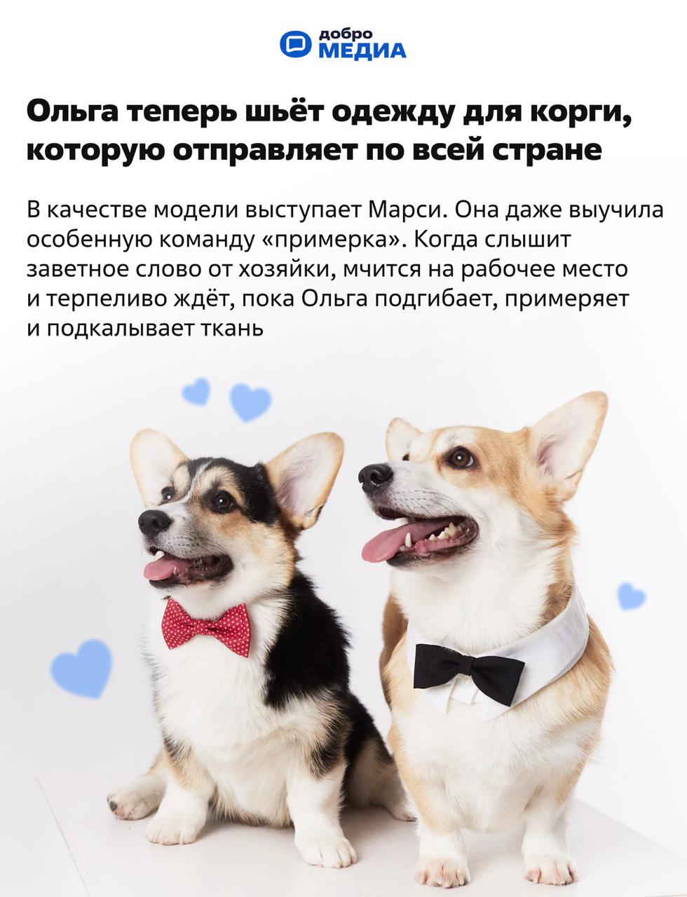 Мечтать не вредно. Вредно не мечтать
Ольга Волошина ещё в школе полюбила создавать из бесформенных кусков ткани платья и юбки. Тогда же решила, что станет швеёй | Сетка — социальная сеть от hh.ru