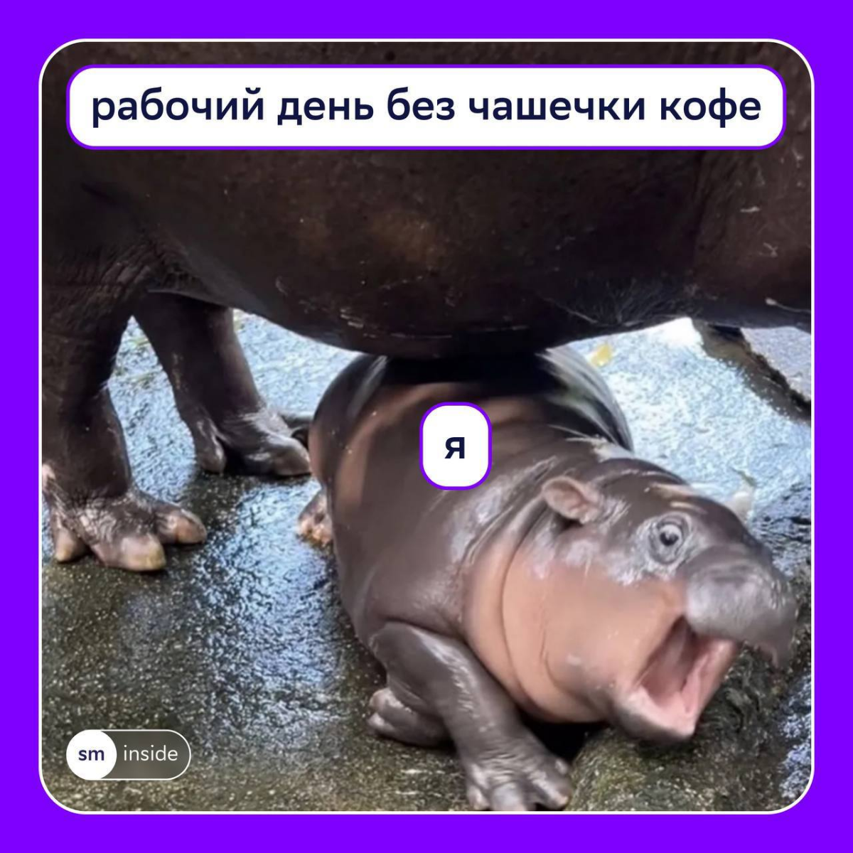 Кофеманы, ваш выход!
Чашечка кофе с любимым коллегой — базовый минимум по утрам | Сетка — социальная сеть от hh.ru