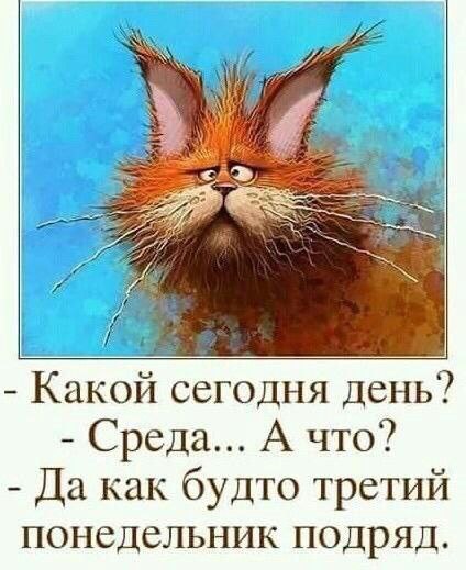 А у вас как? | Сетка — социальная сеть от hh.ru