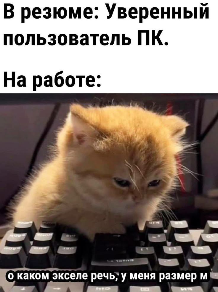 Труженики! 🐝
Чтобы оставать конкурентноспособным на рынке труда иногда приходится изучать очень сложные, но важные технологии | Сетка — социальная сеть от hh.ru