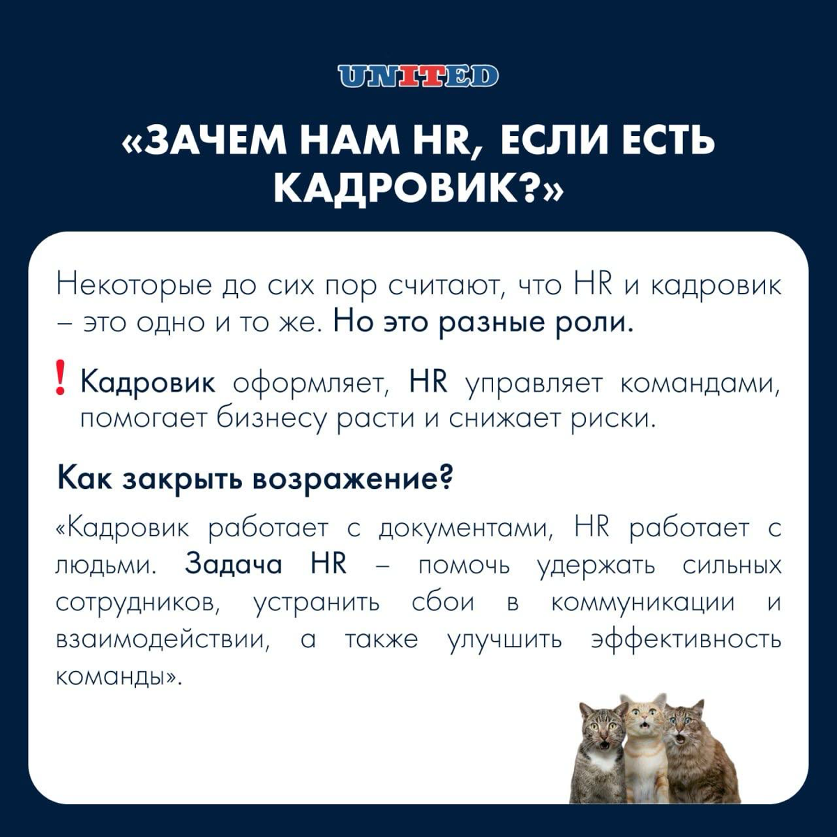 ✔️ Как объяснить бизнесу ценность HR? | Сетка — социальная сеть от hh.ru