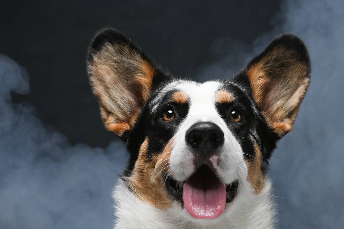 Сергей Вальков | Сетка — социальная сеть от hh.ru