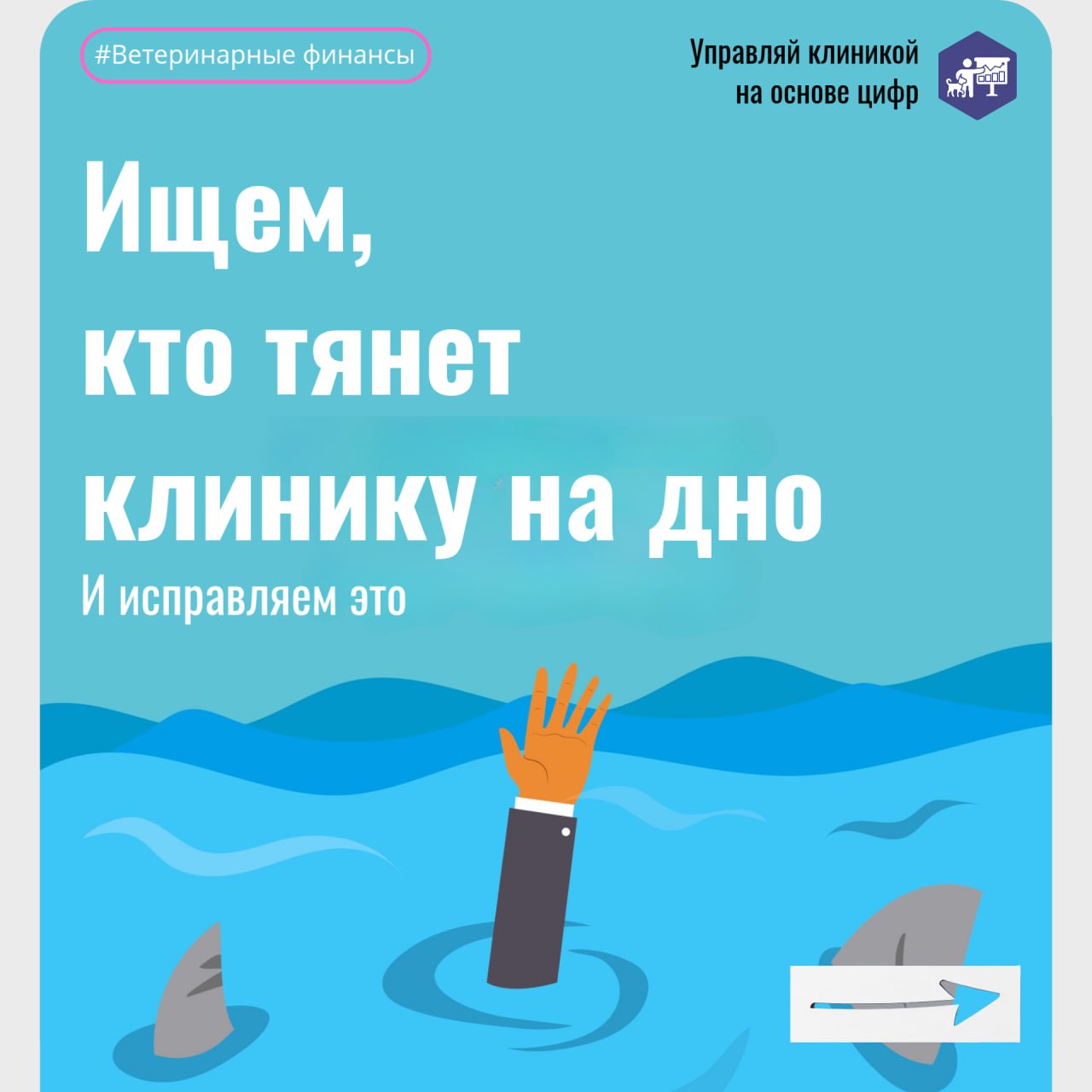 😴 Определить неэффективных сотрудников в ветеринарной клинике порой бывает непросто | Сетка — социальная сеть от hh.ru