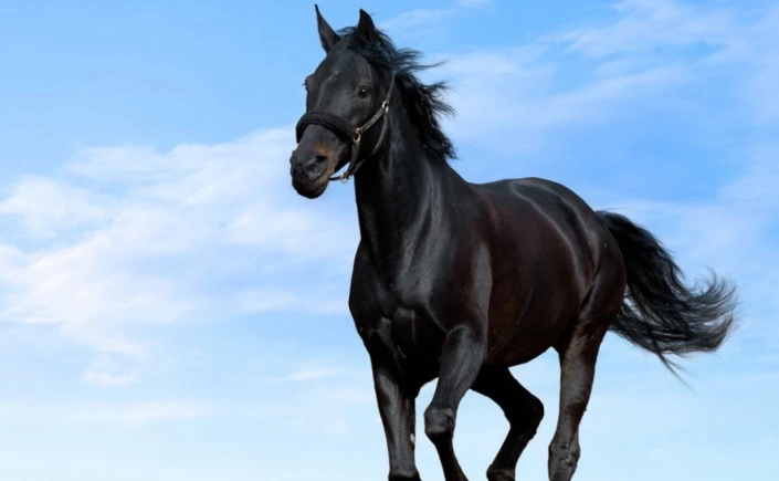 Пробуй. Оценивай. Корректируй. | Сетка — социальная сеть от hh.ru