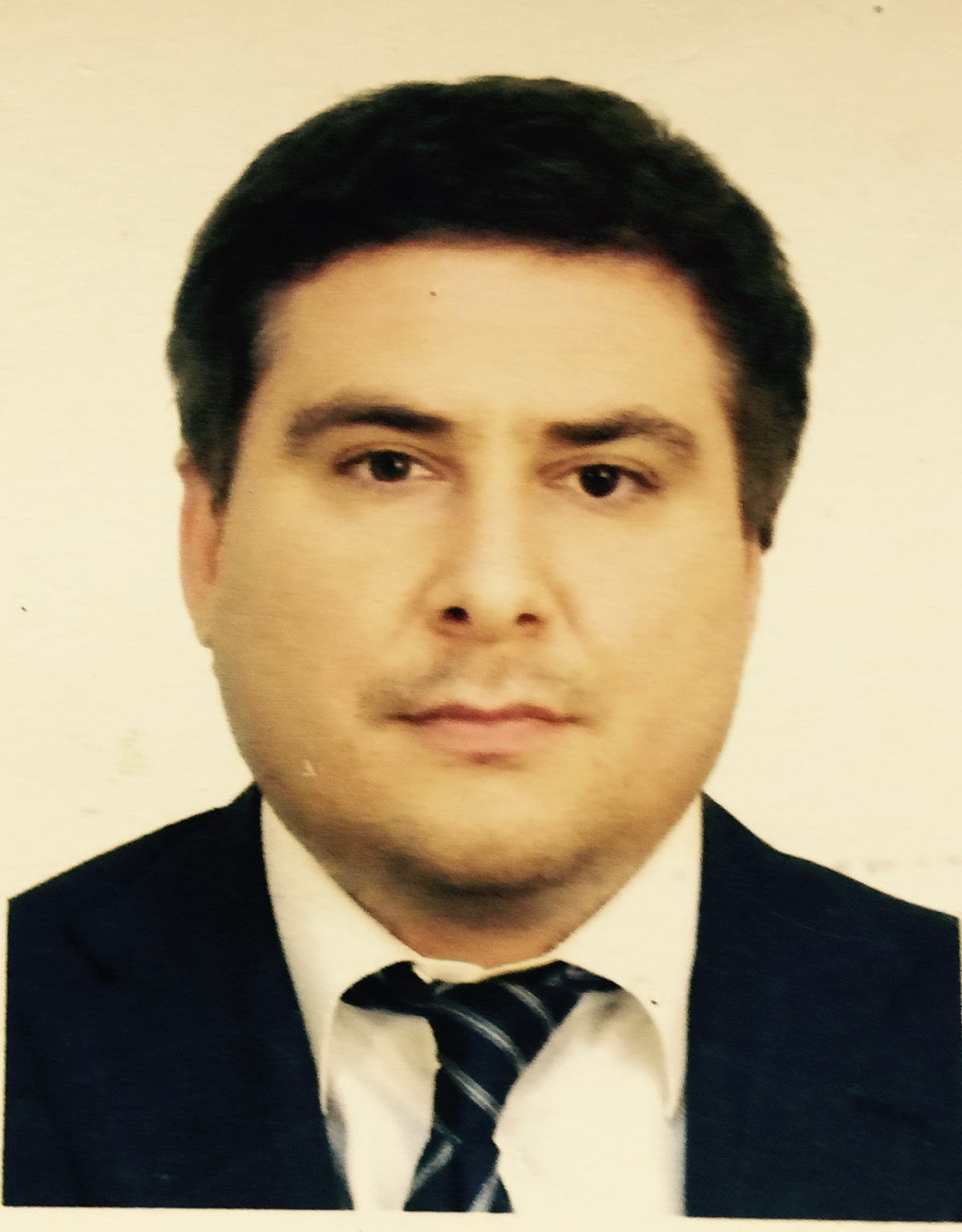 Дмитрий Мичников