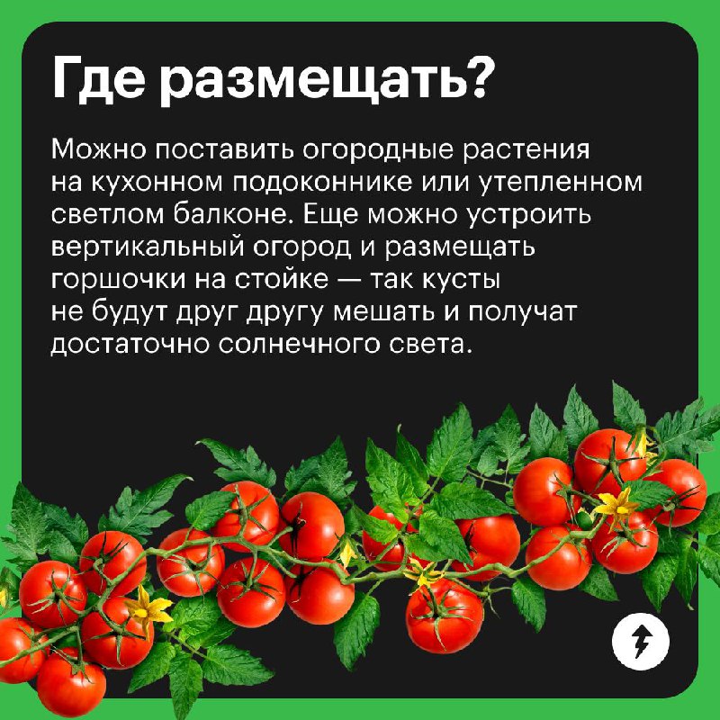 Краткий курс домашнего огородника
Отвечаем на самые популярные вопросы тех, кто впервые решил вырастить урожай дома | Сетка — социальная сеть от hh.ru