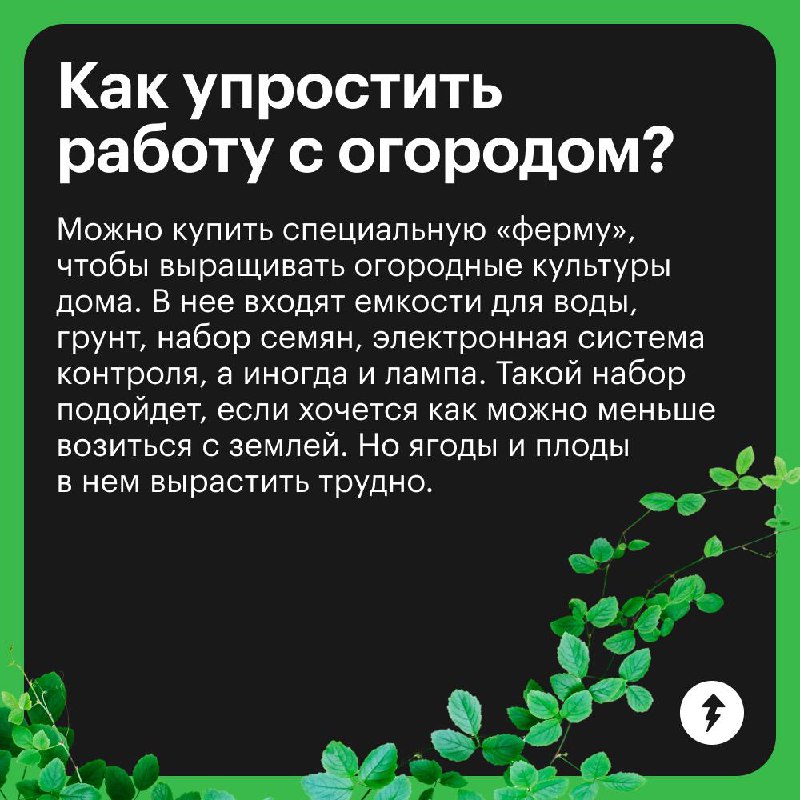 Краткий курс домашнего огородника
Отвечаем на самые популярные вопросы тех, кто впервые решил вырастить урожай дома | Сетка — социальная сеть от hh.ru