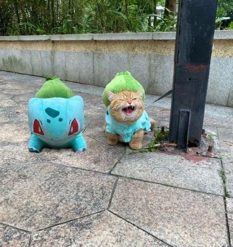 ИИ, который обошёл человека в бизнесе в 6 раз.
#growthархитектура #технофилософия
На днях я хотел отменить подписку на Grok.
Потому что основная работа с ИИ у меня идёт через GPT и Claude | Сетка — социальная сеть от hh.ru