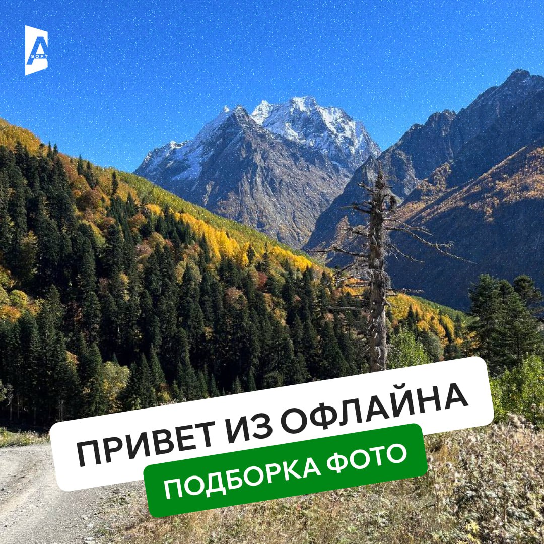 Иногда лучший способ придумать новое решение – просто уйти в отпуск! 🌄
Без тасок, митингов и созвонов – только солнце, вкусная еда, странные дороги и настоящий оффлайн | Сетка — социальная сеть от hh.ru