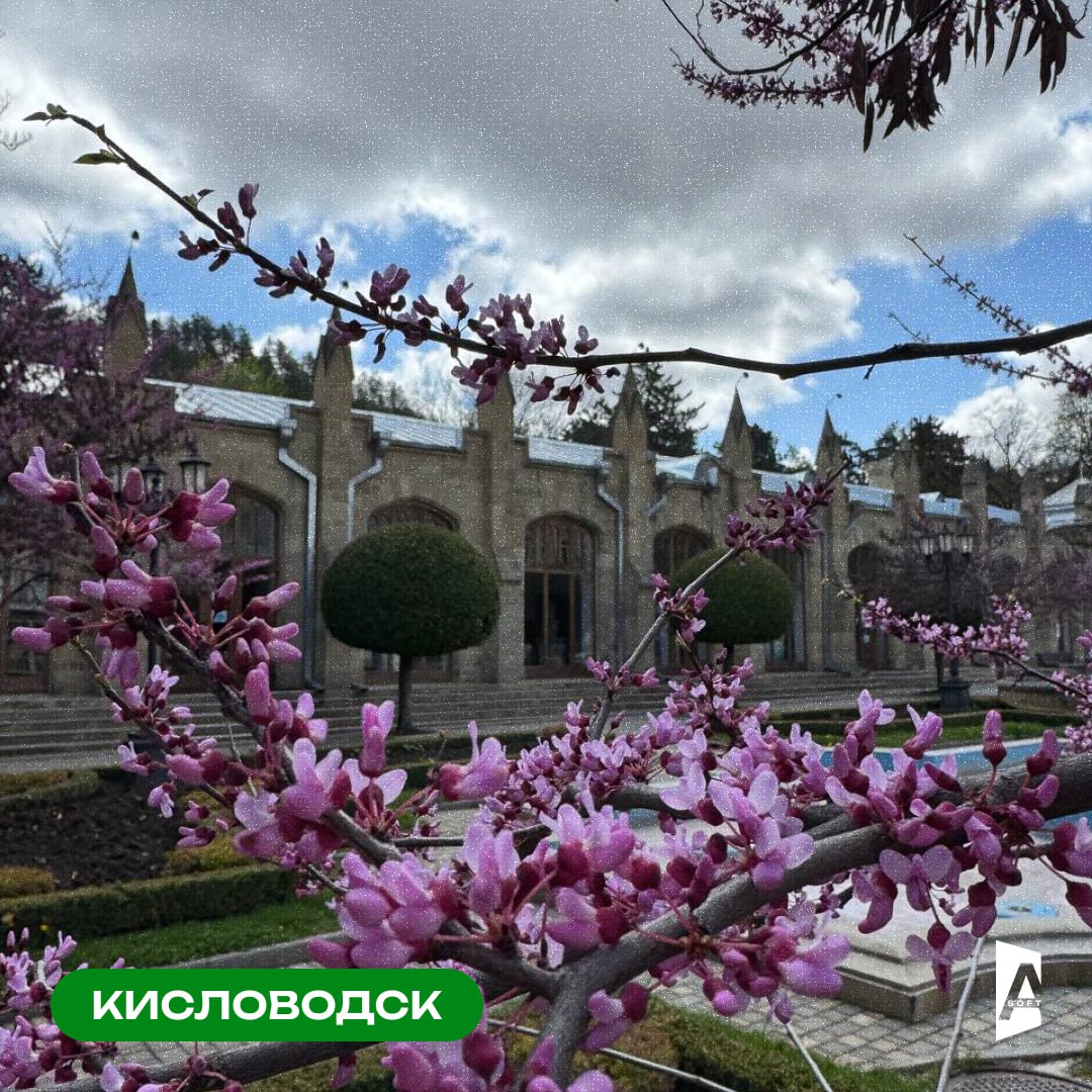 Иногда лучший способ придумать новое решение – просто уйти в отпуск! 🌄
Без тасок, митингов и созвонов – только солнце, вкусная еда, странные дороги и настоящий оффлайн | Сетка — социальная сеть от hh.ru