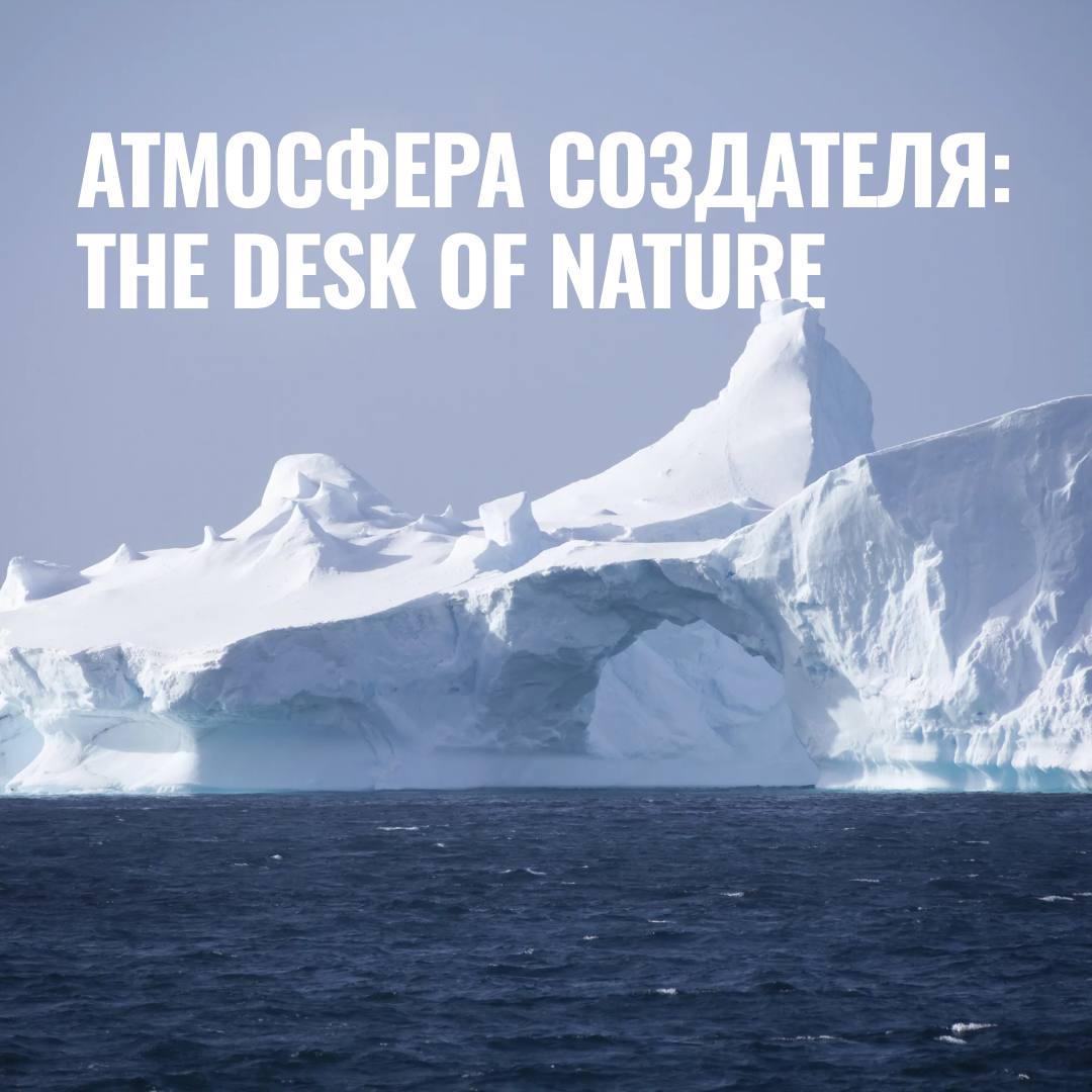 The Desk of Nature — это верхушка айсберга, самое начало. Если представить природу, как художника и создателя, то её “стол” — это место, где появляется жизнь | Сетка — социальная сеть от hh.ru