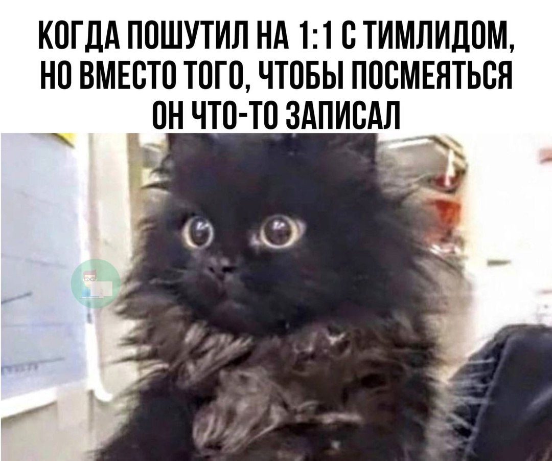 #Сетка привет! | Сетка — социальная сеть от hh.ru