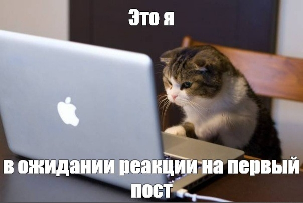 #мойпервыйпост | Сетка — социальная сеть от hh.ru