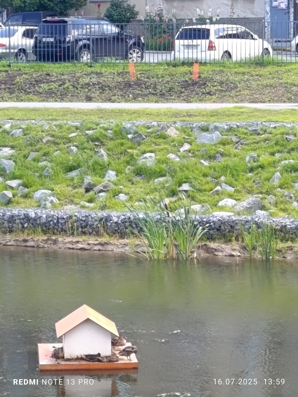 Уточки в экопарке 🦆 В апреле я выкладывала видео, как на озеро прилетели только две утки, а теперь их много, и они живут в домике 🥹
http://vk.com/ob.gorod?w=wall-100380192528954 | Сетка — социальная сеть от hh.ru