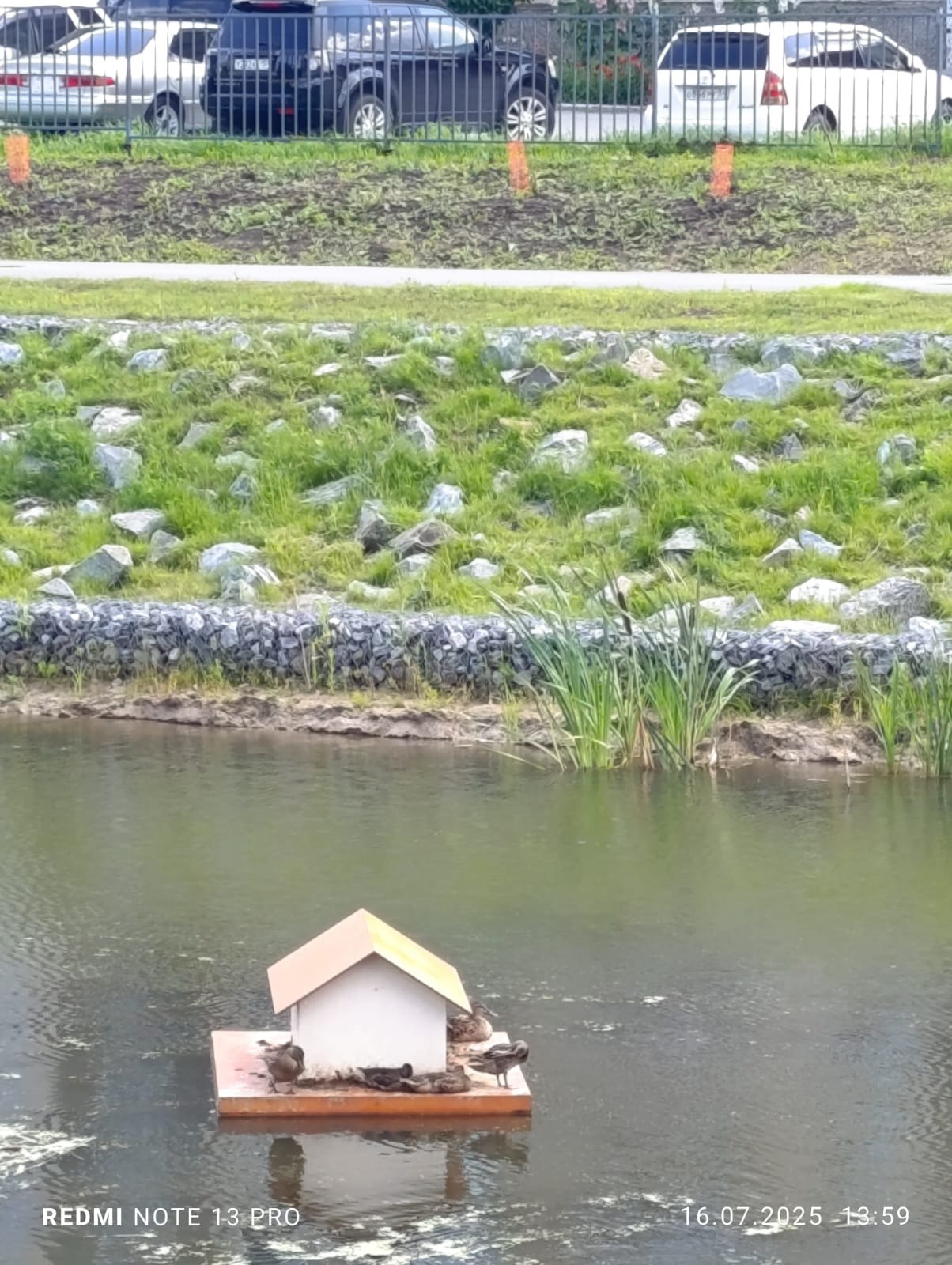 Уточки в экопарке 🦆 В апреле я выкладывала видео, как на озеро прилетели только две утки, а теперь их много, и они живут в домике 🥹
http://vk.com/ob.gorod?w=wall-100380192528954 | Сетка — социальная сеть от hh.ru