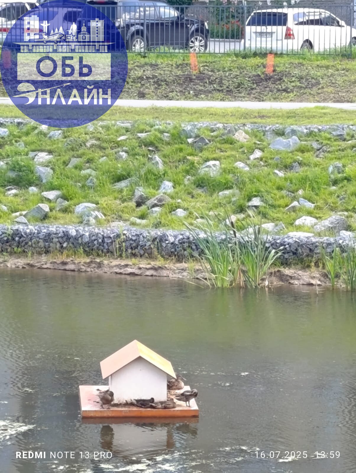 ↗ Уточки в экопарке 🦆 В апреле я выкладывала видео, как на озеро прилетели только две утки, а теперь их много, и они живут в домике 🥹
vk.com
Подробнее на https://vk.com/ob | Сетка — социальная сеть от hh.ru