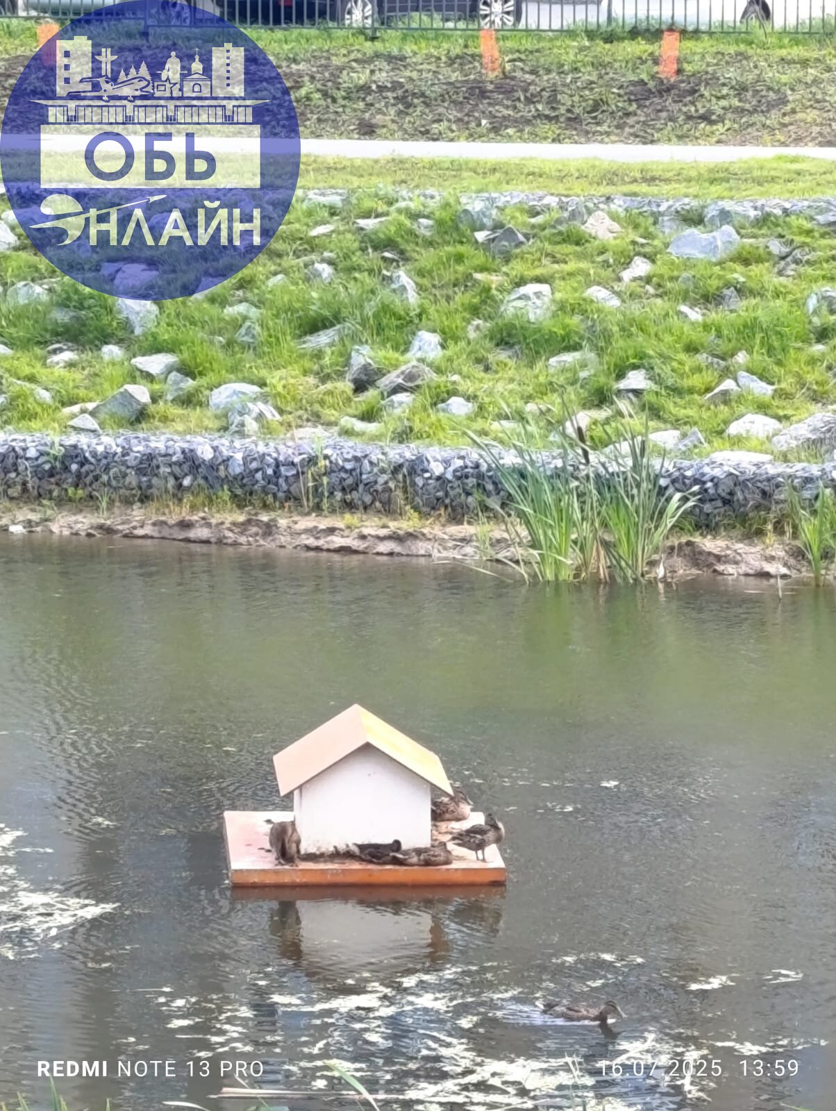 ↗ Уточки в экопарке 🦆 В апреле я выкладывала видео, как на озеро прилетели только две утки, а теперь их много, и они живут в домике 🥹
vk.com
Подробнее на https://vk.com/ob | Сетка — социальная сеть от hh.ru