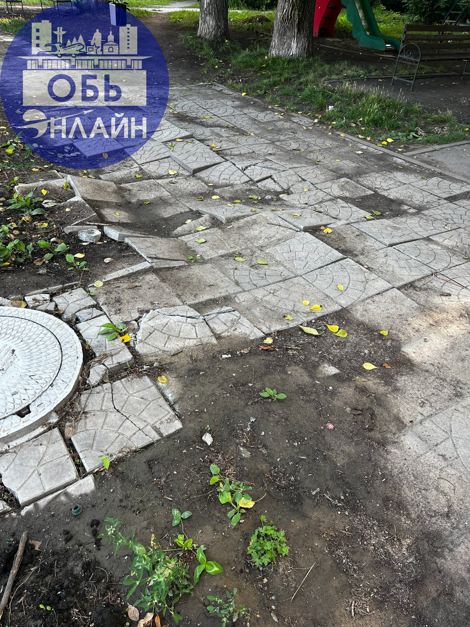 ↗ Администрация города Оби ,напомню что сегодня уже 17 июля!
Или это по вашему посаженный газон?
Решите уже вопрос,детям негде играть | Сетка — социальная сеть от hh.ru