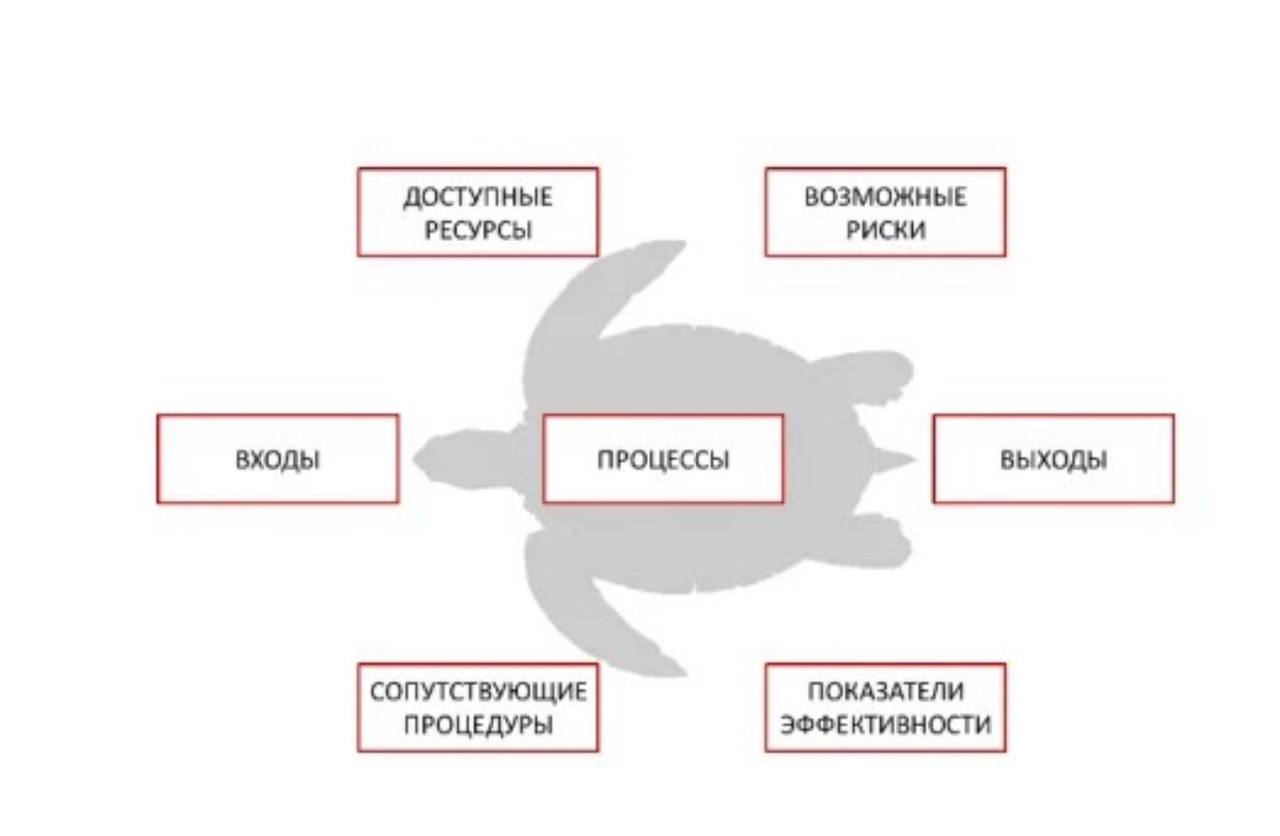 🐢Диаграмма черепахи: необычный инструмент для анализа процессов | Сетка — социальная сеть от hh.ru