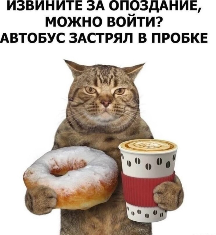 Как маленькие ритуалы в команде делают работу счастливее | Сетка — социальная сеть от hh.ru