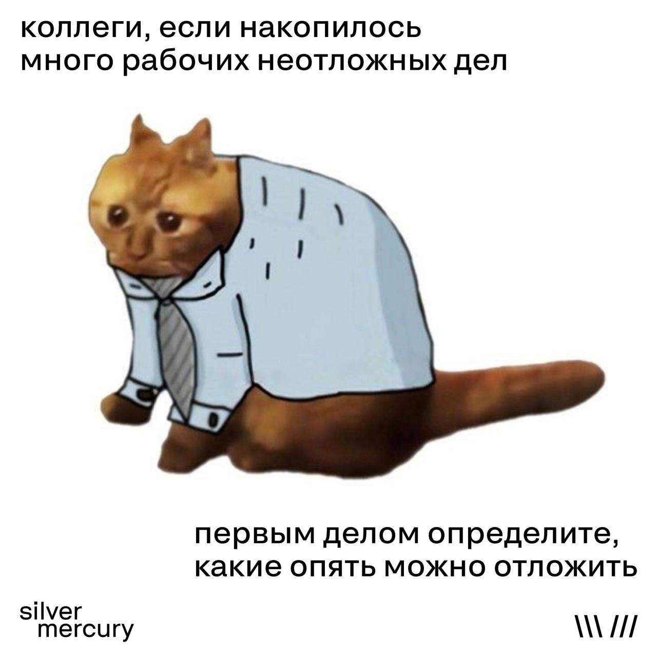 🩶 Это команда SM ушла на подготовку к следующему сезону
Поэтому активностей мало, зато мемов — много. А минусы будут? | Сетка — социальная сеть от hh.ru