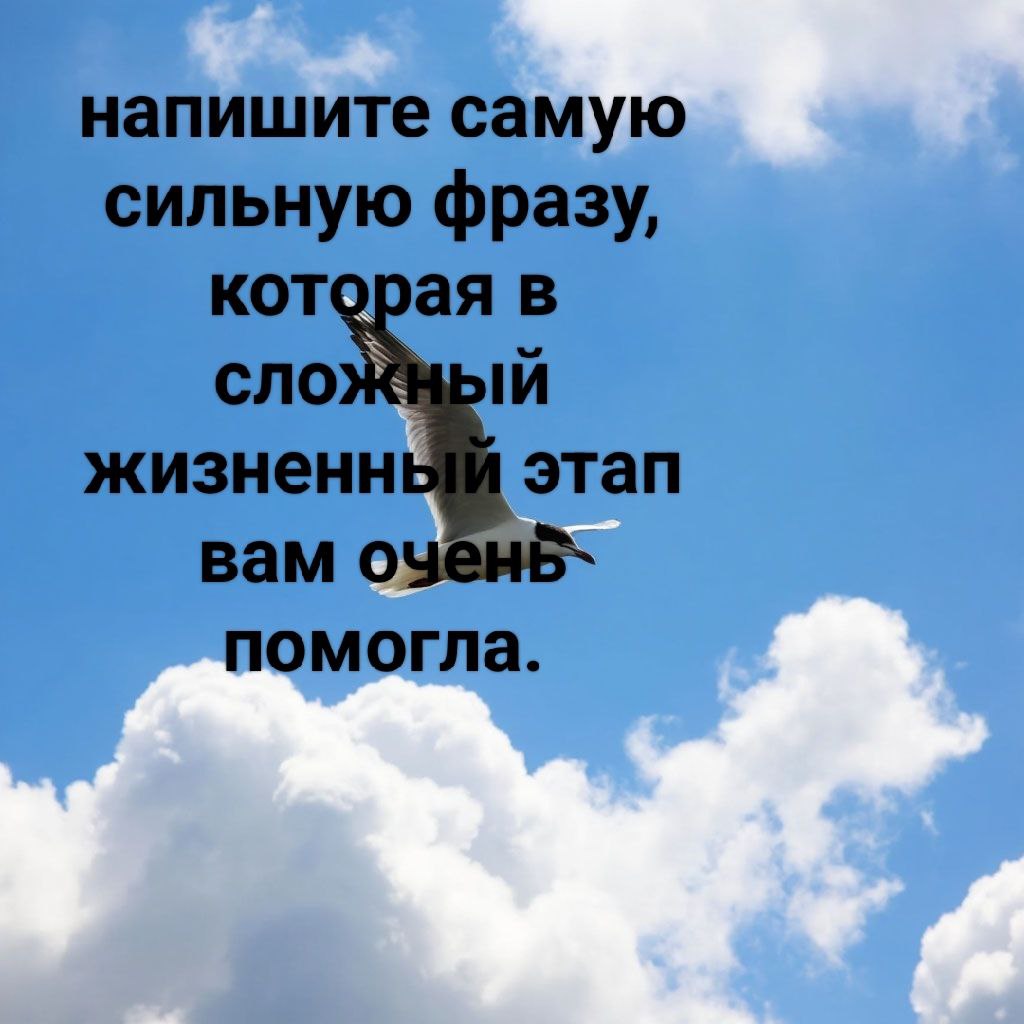 Погнали? | Сетка — социальная сеть от hh.ru