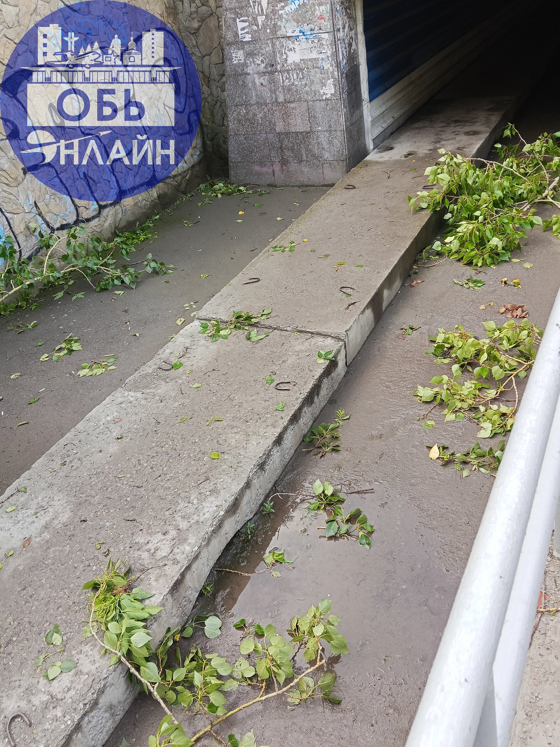 ↗ Администрация города Оби пинайте под зад ваши коммунальные службы, пусть приводят город в порядок после вчерашнего урагана. На Октябрьской висят провода, возле 60 школы дерево повисло на проводах | Сетка — социальная сеть от hh.ru