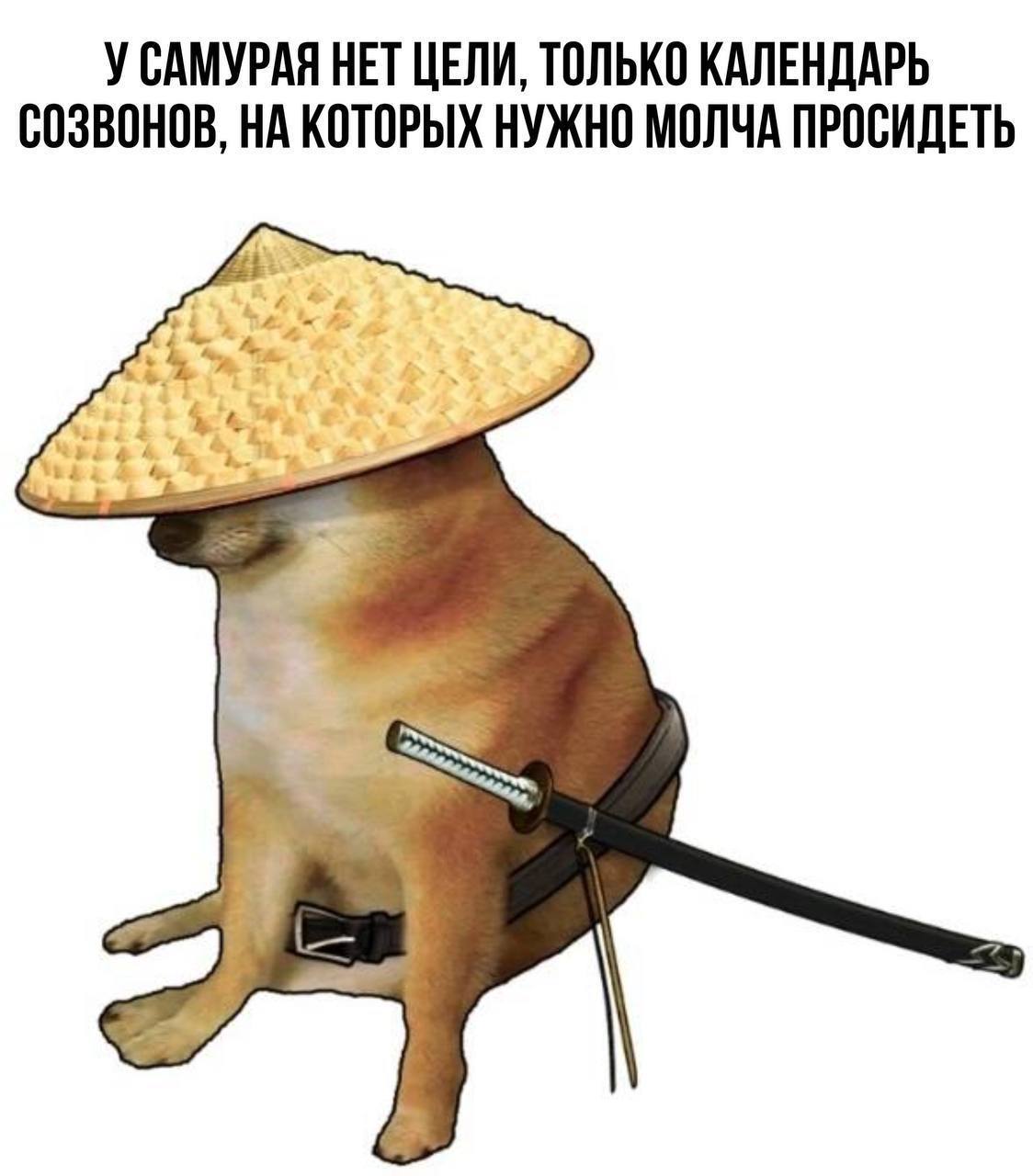 #it #work | Сетка — социальная сеть от hh.ru