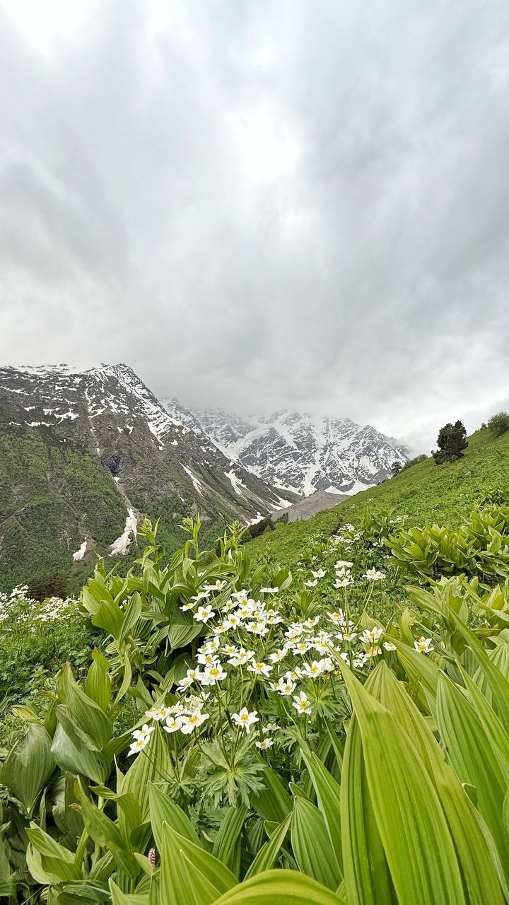 Горы - это не про высоту…
Вчера мой товарищ поднялся на Эльбрус🏔️
На меня нахлынули воспоминания о кэмпе, на котором мы были в июне вместе с @semenpimenov и другими невероятно крутыми ребятами | Сетка — социальная сеть от hh.ru