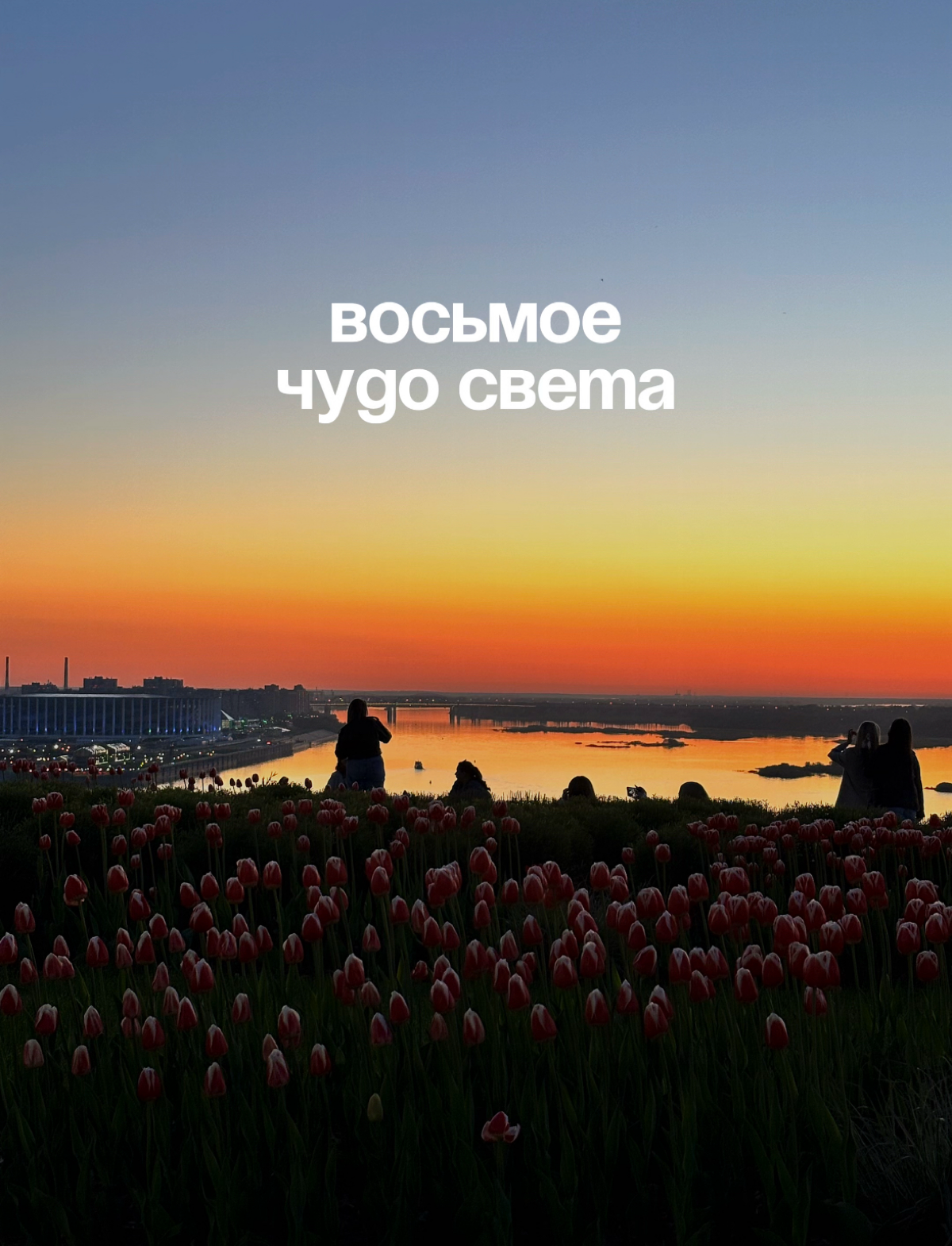 За мобильными фотографиями ко мне🤍 | Сетка — социальная сеть от hh.ru