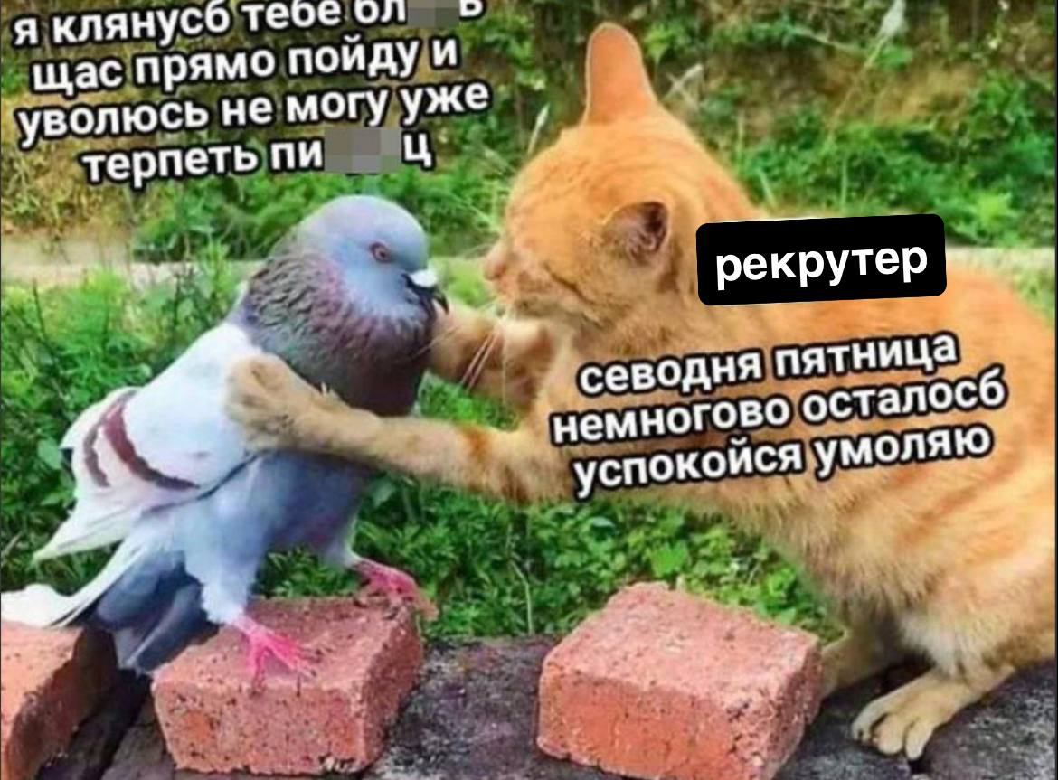 Иногда мне хочется вести не только Excel с кандидатами, | Сетка — социальная сеть от hh.ru
