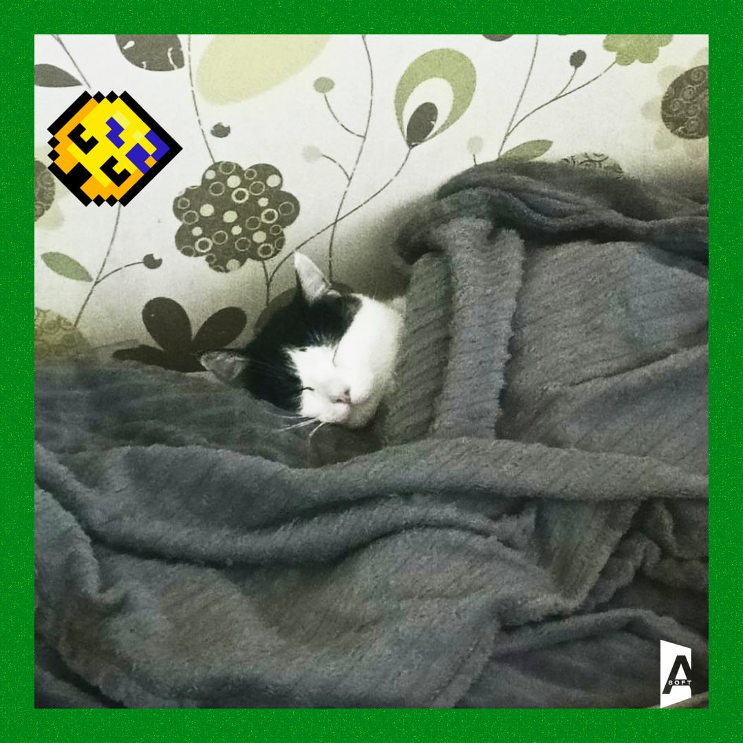 #Зверопятница: открываем тайны корпоративного сна 😴
Наши пушистые коллеги устроили мастер-класс по продуктивному отдыху – смотрите и учитесь! 😅
8 котиков = 8 стилей сна:
🐱 Отдыхаю за всю команду сразу... | Сетка — социальная сеть от hh.ru