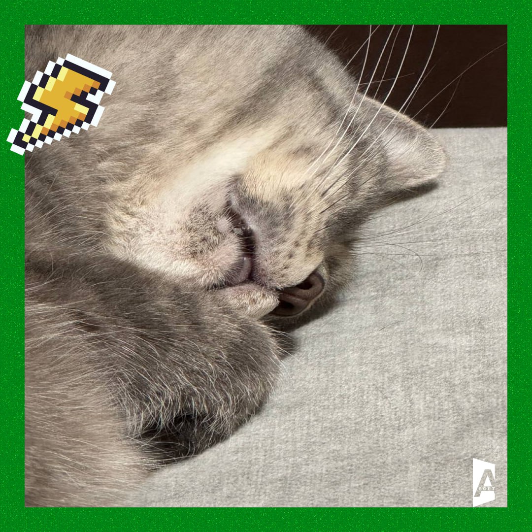 #Зверопятница: открываем тайны корпоративного сна 😴
Наши пушистые коллеги устроили мастер-класс по продуктивному отдыху – смотрите и учитесь! 😅
8 котиков = 8 стилей сна:
🐱 Отдыхаю за всю команду сразу... | Сетка — социальная сеть от hh.ru