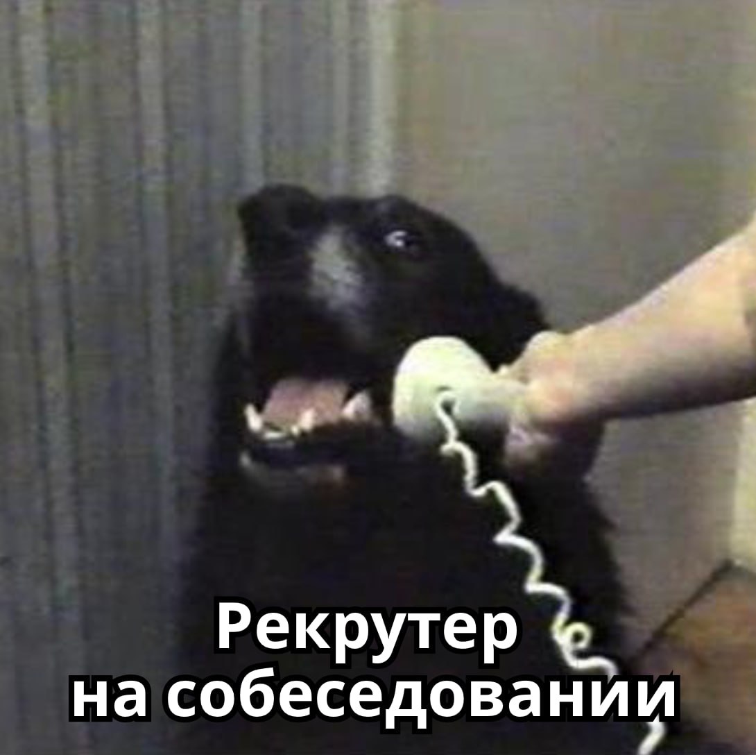 Ничто так не раздражает при поиске работы, как....
Можно продолжать до бесконечности. Давайте я начну:
1. В описании вакансии нет нужной информации: город, описание задач, требования, формат работы;
2 | Сетка — социальная сеть от hh.ru