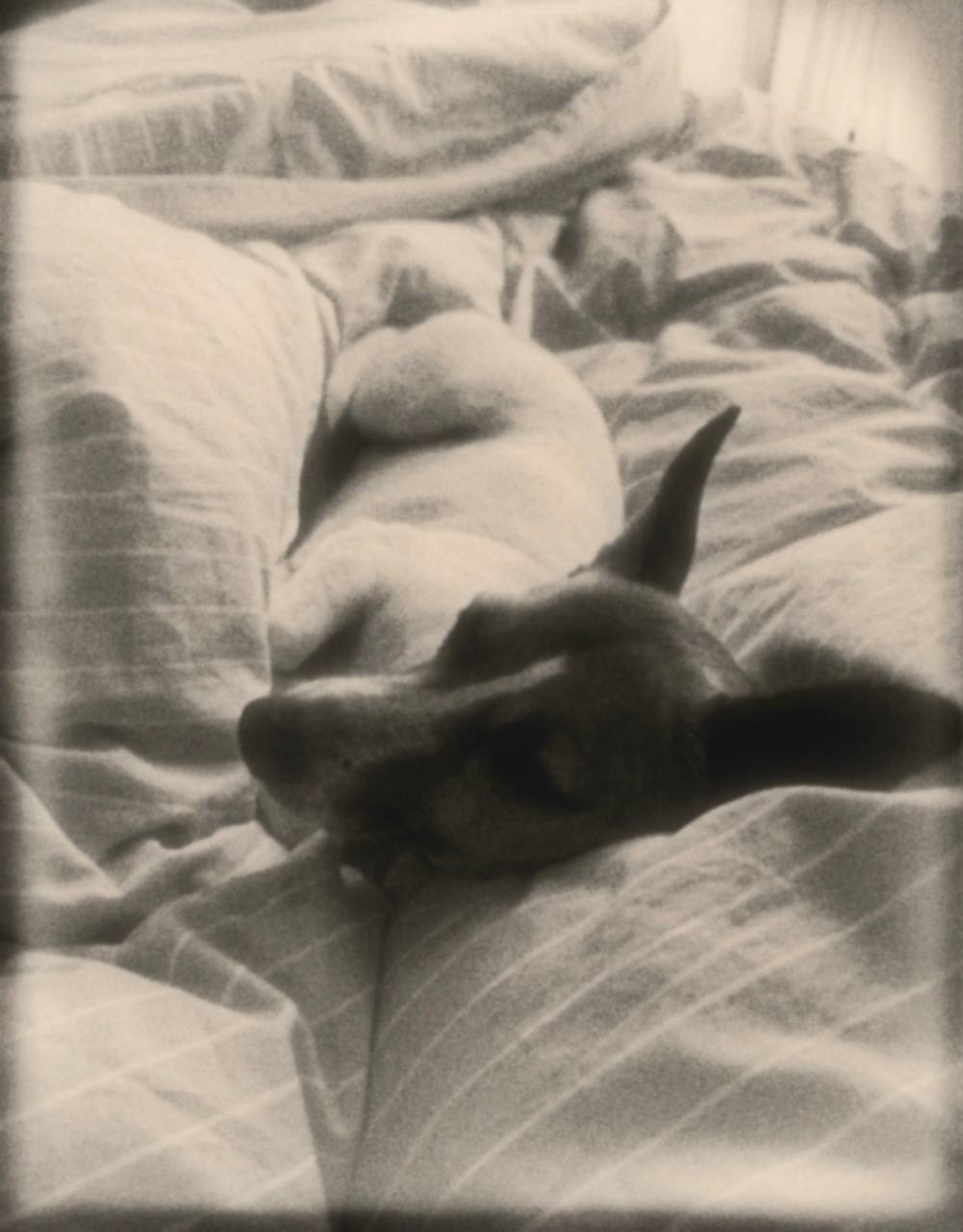 Иногда вдохновение приходит с чужих сторис, любимых рилсов или просто из визуала, мимо которого не пройти 🤍
Я давно слежу за Лизой Гусевской — у неё невероятно тёплый, стильный контент, в котором хоче... | Сетка — социальная сеть от hh.ru