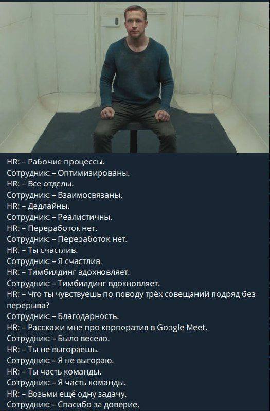 #work #shit | Сетка — социальная сеть от hh.ru