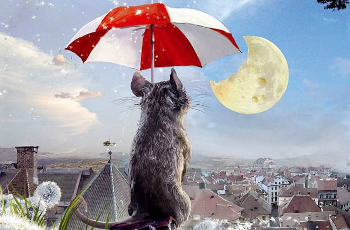 Книга июля в Книжном Клубе «Что читает Венди Роудс?» | Сетка — социальная сеть от hh.ru