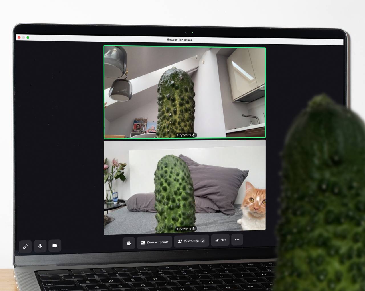 🥒 Поздравляем с Днём Огурца!
Уже 24 года подряд в Суздале празднуют День огурца. Обычно его отмечают во вторую или третью субботу июля в честь урожая огурцов | Сетка — социальная сеть от hh.ru