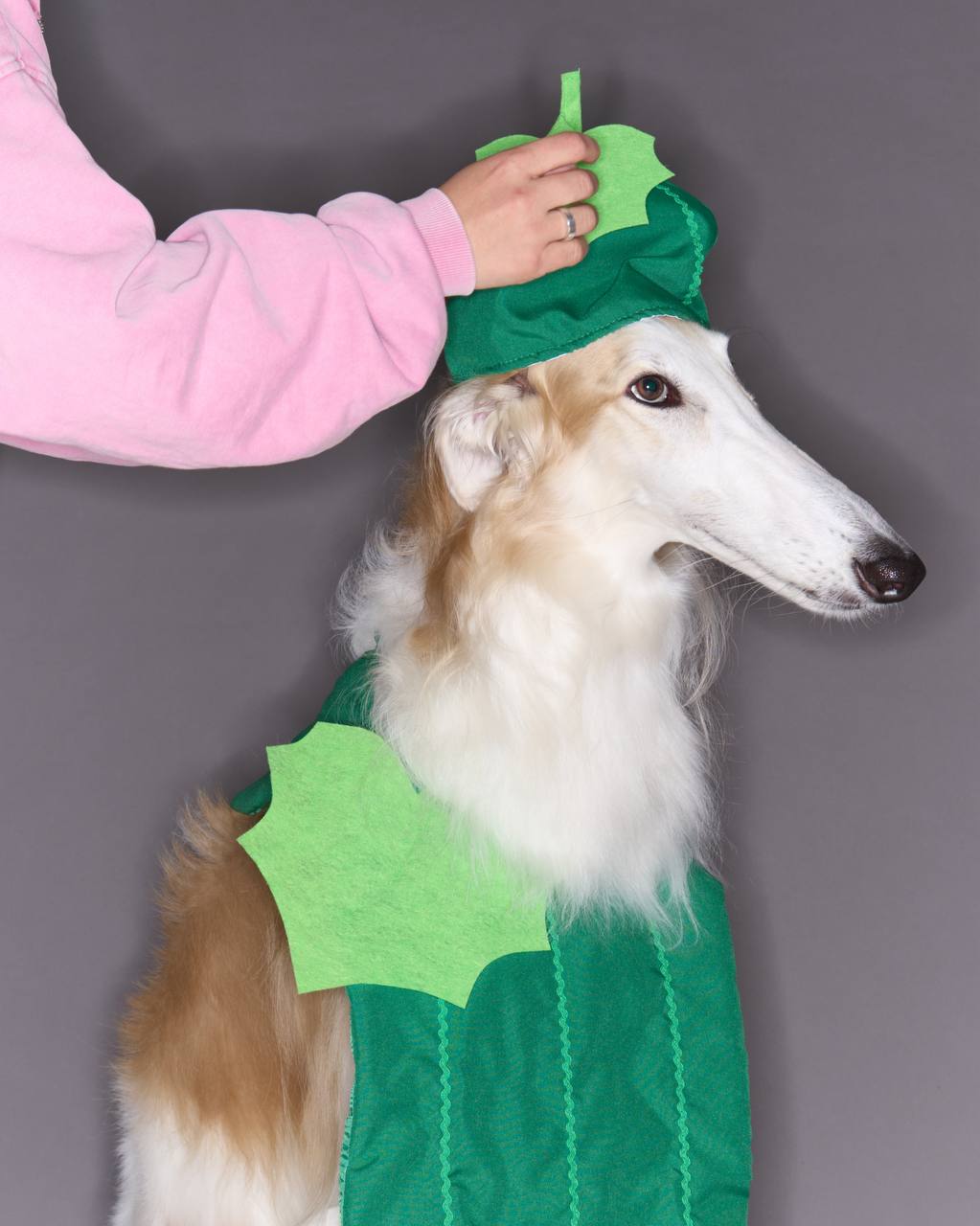 🥒 Поздравляем с Днём Огурца!
Уже 24 года подряд в Суздале празднуют День огурца. Обычно его отмечают во вторую или третью субботу июля в честь урожая огурцов | Сетка — социальная сеть от hh.ru