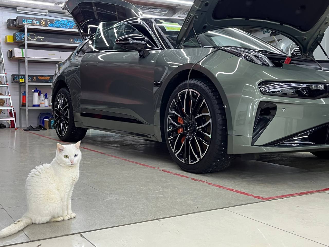 Друзьям, вы нам можете доверить любой проект, любой сложности! Мы с радостью реализуем любую вашу идею и превратим ее в реальность | Сетка — социальная сеть от hh.ru