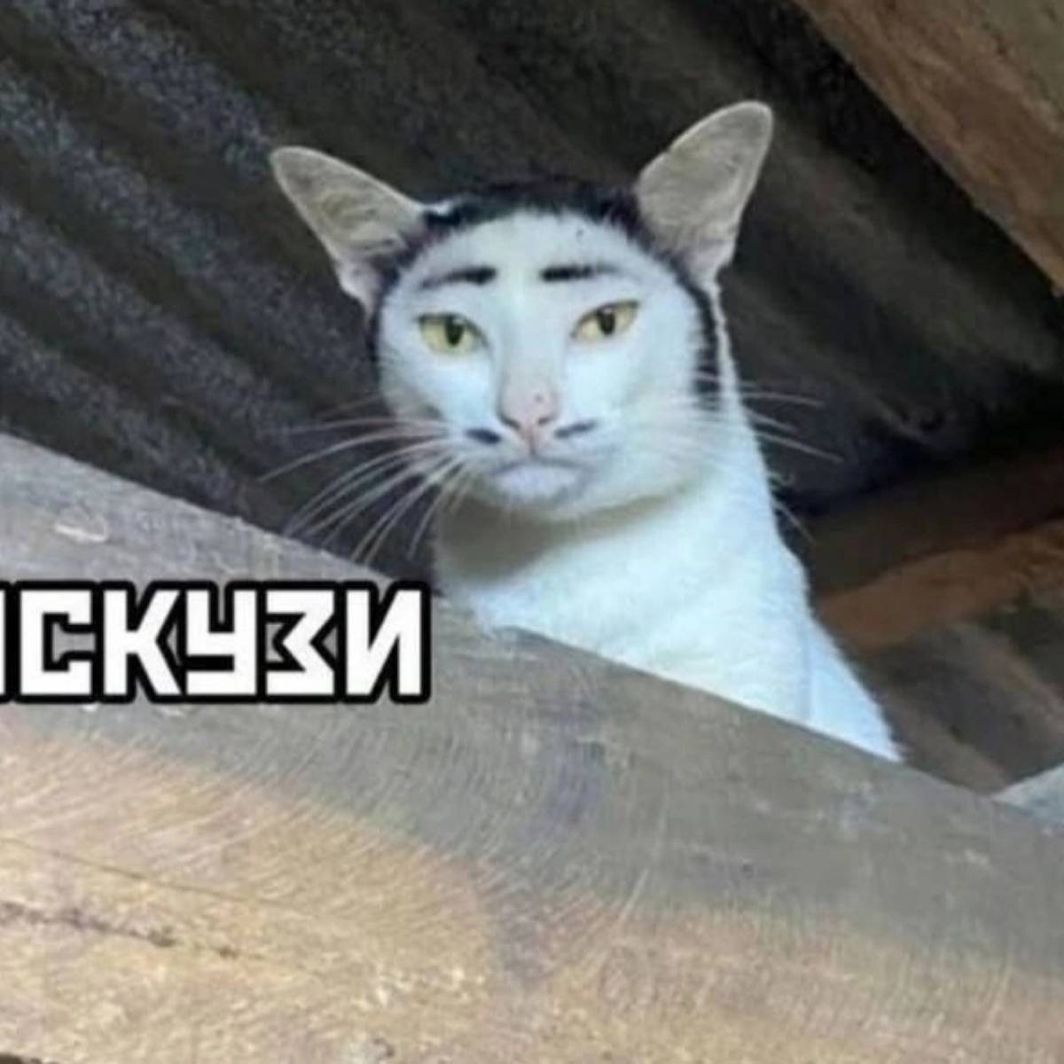 Олег Тяж