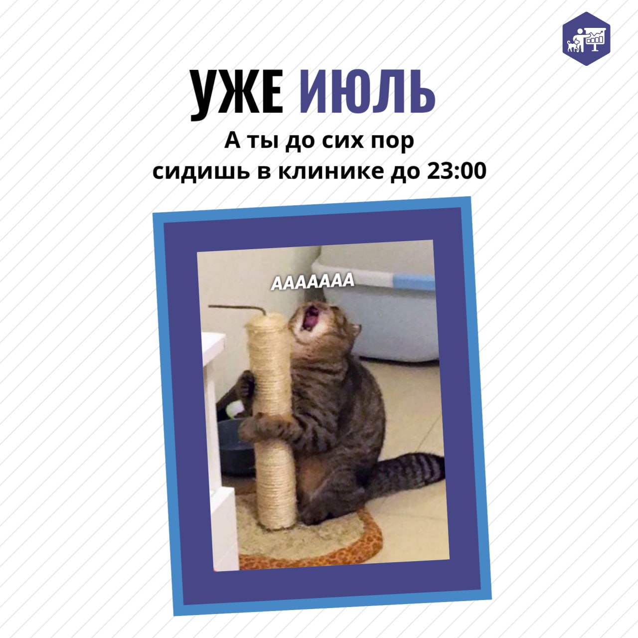 Охватить всё за летний период может показаться невыполнимой задачей, но повысить прибыль вашей ветеринарной клиники на 20-40% путём устранения всех «финансовых дыр» и оптимизации расходов — это абсолю... | Сетка — социальная сеть от hh.ru