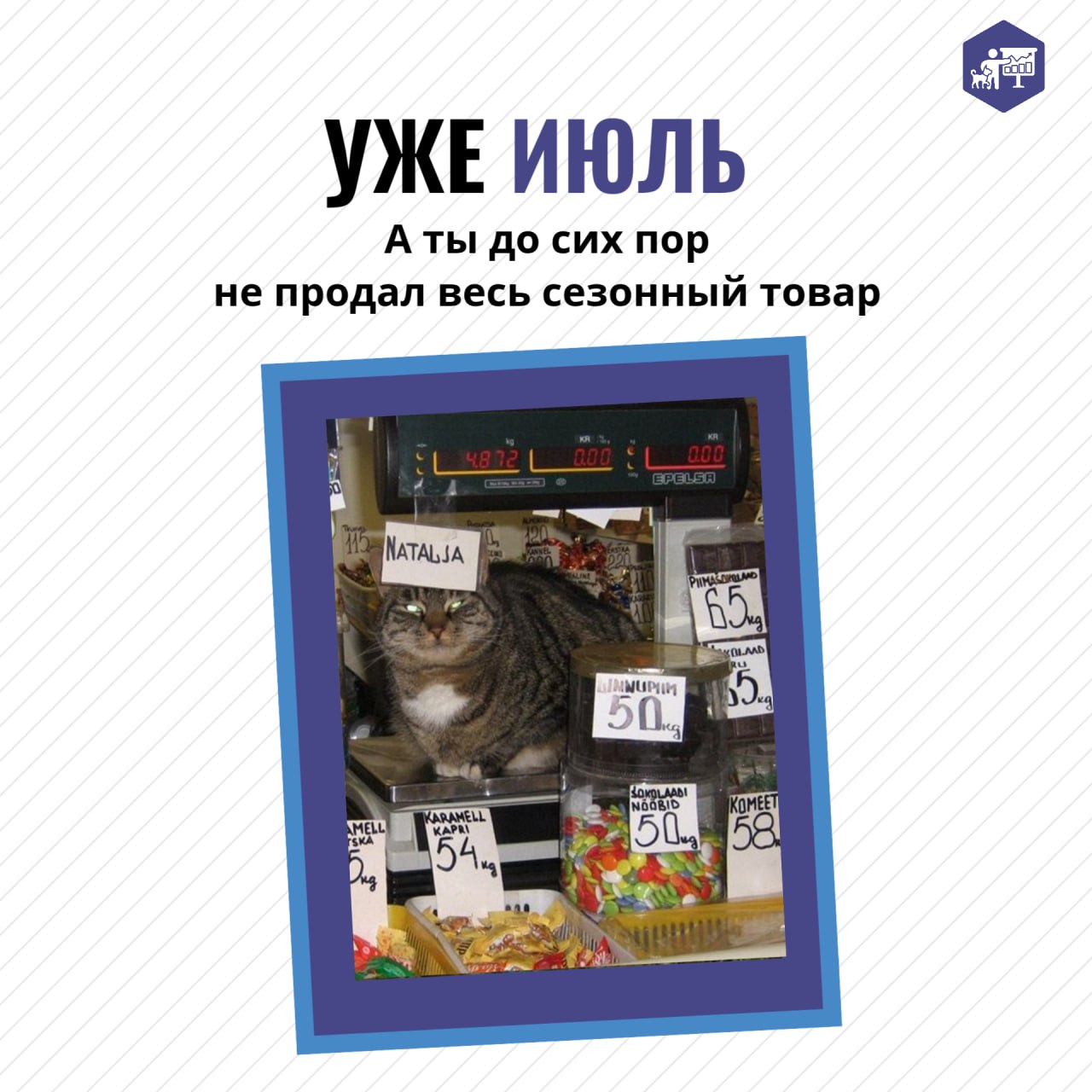 Охватить всё за летний период может показаться невыполнимой задачей, но повысить прибыль вашей ветеринарной клиники на 20-40% путём устранения всех «финансовых дыр» и оптимизации расходов — это абсолю... | Сетка — социальная сеть от hh.ru