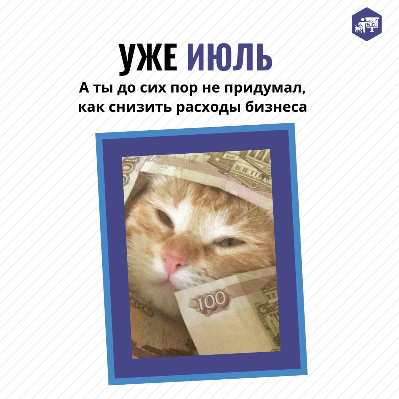 Охватить всё за летний период может показаться невыполнимой задачей, но повысить прибыль вашей ветеринарной клиники на 20-40% путём устранения всех «финансовых дыр» и оптимизации расходов — это абсолю... | Сетка — социальная сеть от hh.ru