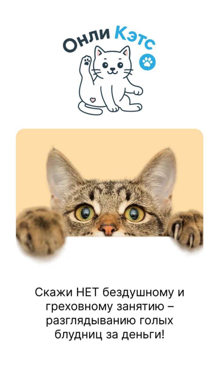 🐶У меня хорошие новости:
теперь ваши пушистики могут стать миллионерами!
Российские разработчики предложили прикольную платформу - OnlyCats | Сетка — социальная сеть от hh.ru