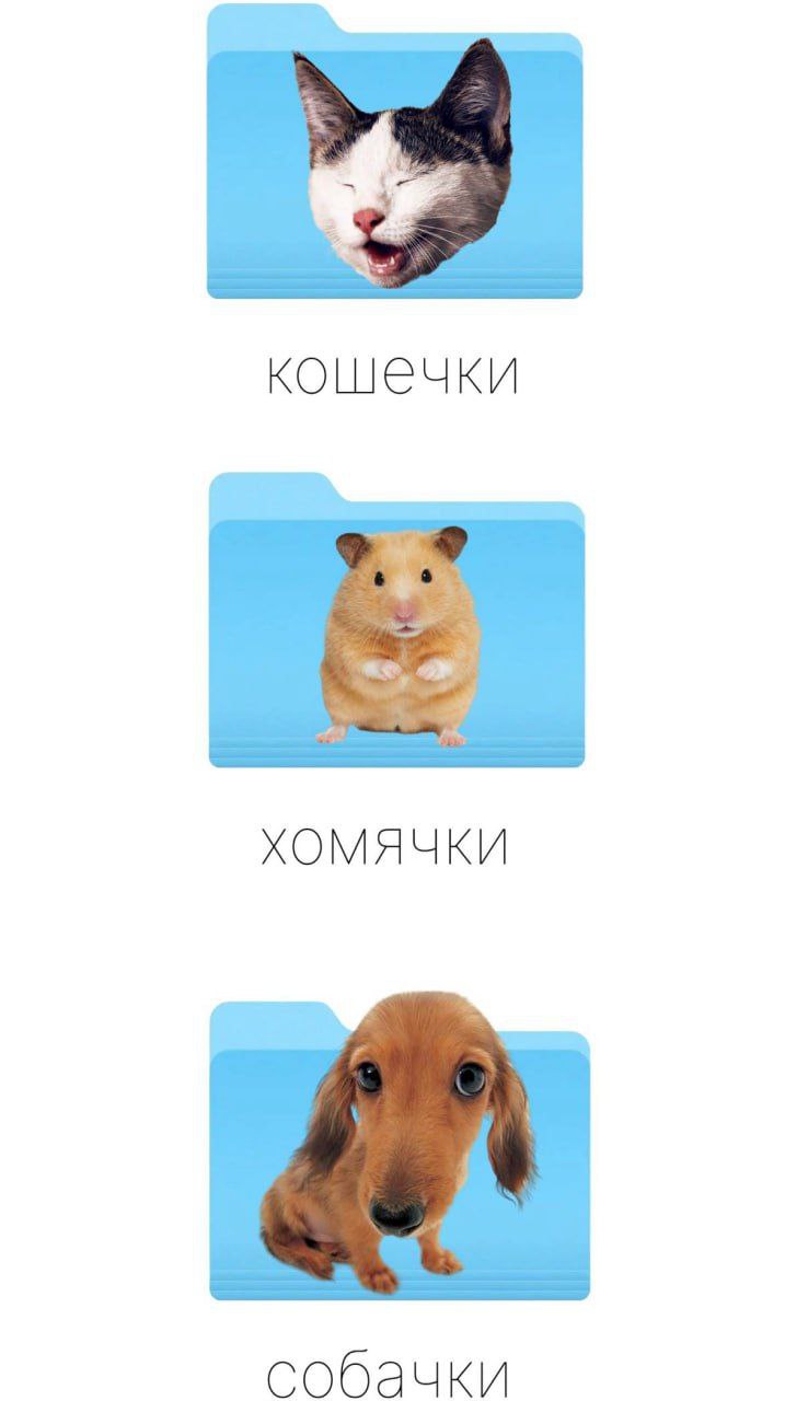 🐶У меня хорошие новости:
теперь ваши пушистики могут стать миллионерами!
Российские разработчики предложили прикольную платформу - OnlyCats | Сетка — социальная сеть от hh.ru