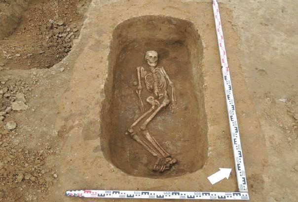 ☠ Скелет и находки быта раннего железного века откопали на Ставрополье археологи
Об археологических раскопках сообщили в «Курганном могильнике Благодарный-4» | Сетка — социальная сеть от hh.ru